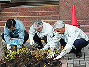 植栽実施状況